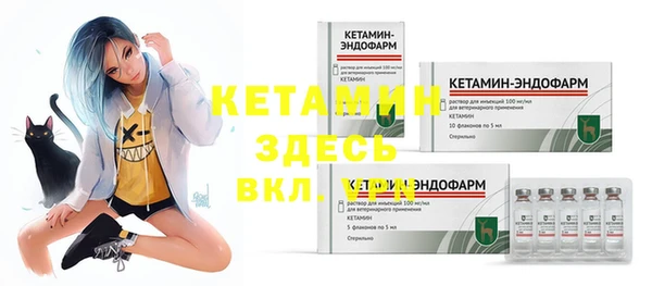 крисы Вязьма