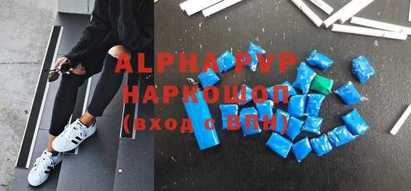 крисы Вязьма