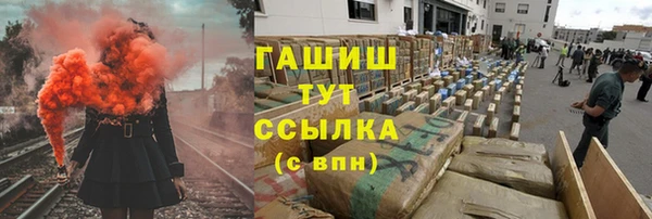PSILOCYBIN Вяземский