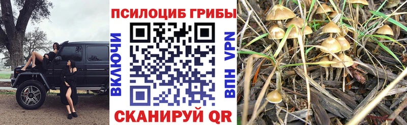 Псилоцибиновые грибы мицелий  Купить где  Малмыж 