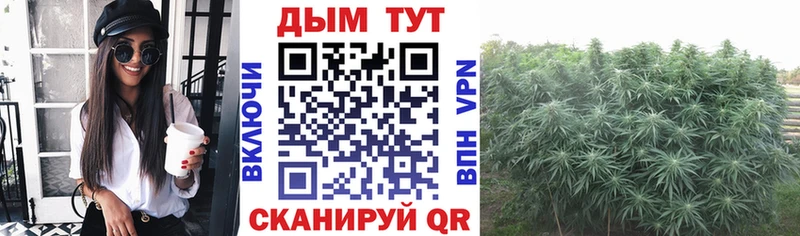 Купить  Малмыж  Бошки Шишки тримм 